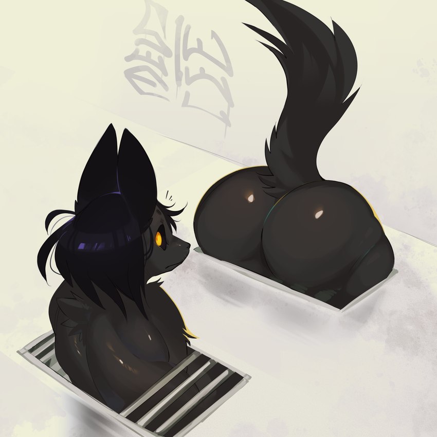 anthro black_body black_fur black_hair black_tail butt female fur hair high-angle_view solo tail vent yellow_eyes swiwwel mir_(swiwwel) canid canine mammal 1:1 2024 absurd_res digital_drawing_(artwork) digital_media_(artwork) hi_res