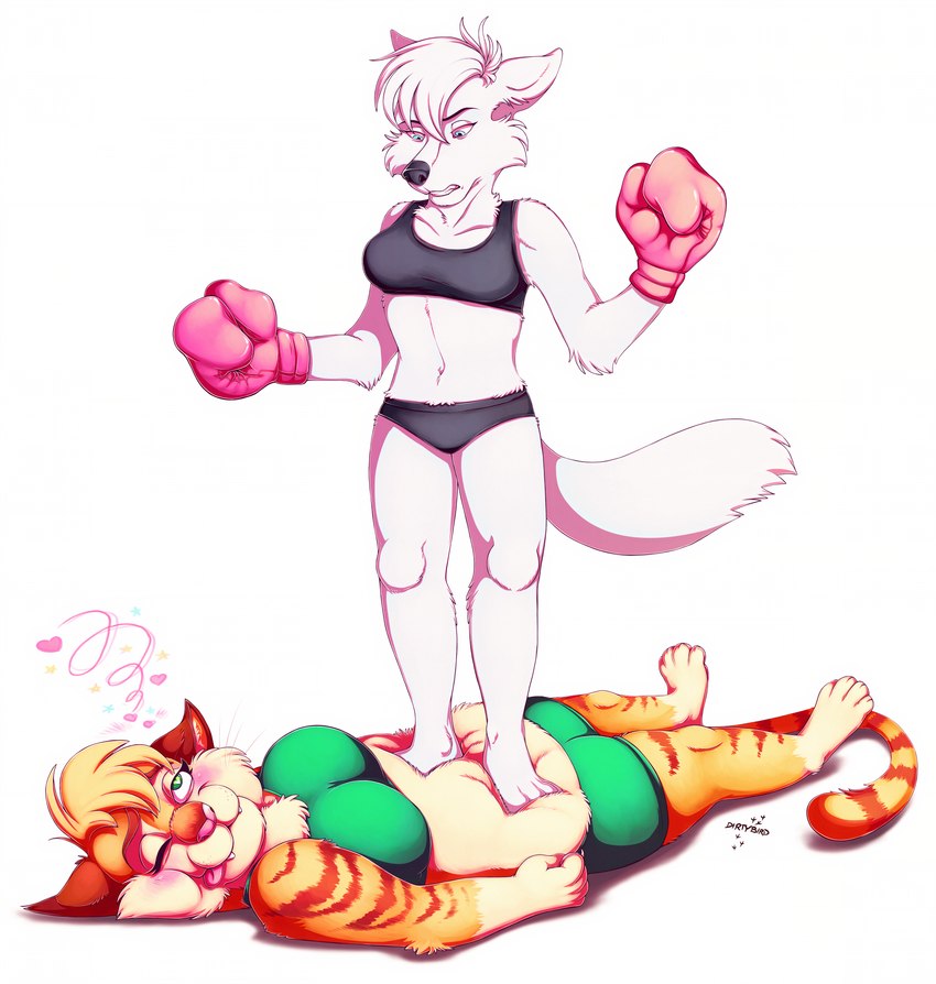 4_toes 5_fingers anthro arm_tuft belly belly_squish black_eyebrows black_nose blonde_hair blue_eyes blush bottomwear boxing boxing_gloves bra cheek_tuft chest_tuft clenched_teeth clothing collarbone duo elbow_tuft eyebrows eyelashes facial_tuft feet female female/female fingers foot_on_belly fur green_eyes hair half-closed_eyes handwear heart_eyes heart_symbol inner_ear_fluff looking_down lying markings narrowed_eyes navel on_back one_eye_closed orange_body orange_eyebrows orange_fur panties pink_nose pink_tongue shorts simple_background sport sports_bra squish standing_on_belly striped_body striped_fur striped_markings striped_tail stripes tail tail_markings teeth toes tongue tongue_out trampling tuft underwear whiskers white_background white_body white_fur white_hair phantastus ava_(cavix) rose_(cavix) arctic_fox canid canine domestic_cat felid feline felis fox mammal true_fox absurd_res hi_res signature