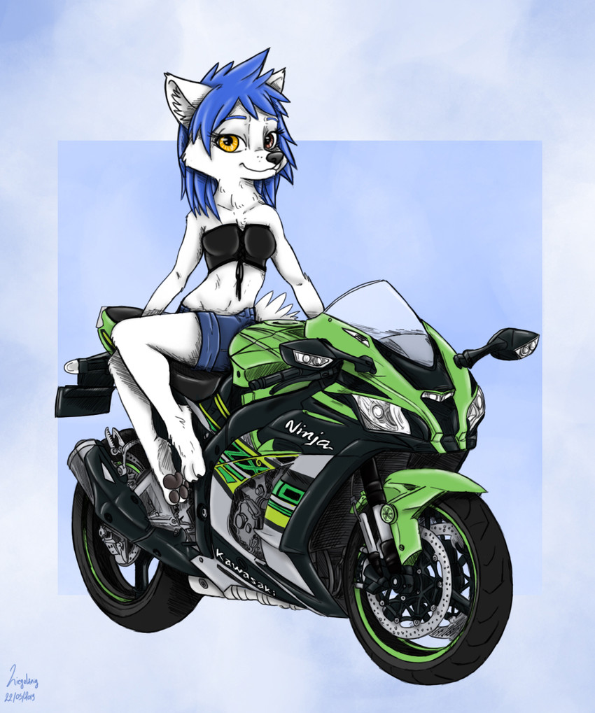 anthro blue_hair brown_eyes female fur hair looking_at_viewer motorcycle pawpads shattered_spine simple_background solo vehicle white_body white_fur yellow_eyes ziegelzeig bad_guy_cafe kawasaki kawasaki_ninja mia_(smneff) arctic_fox canid canine fox mammal true_fox 2020 hi_res