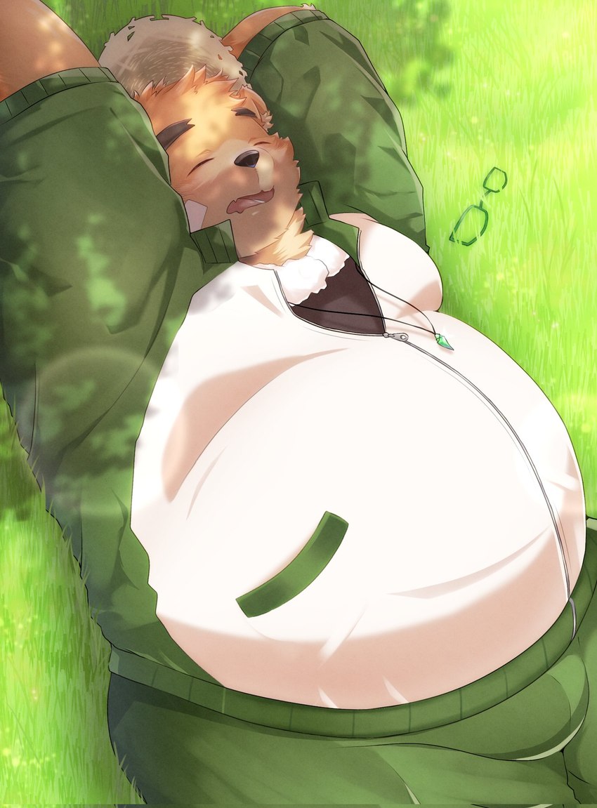 anthro belly big_belly black_nose bottomwear brown_body clothing detailed_background eyes_closed hat headgear headwear kemono lying male outside overweight overweight_male pants solo straw_hat sora_idiotka lifewonders tokyo_afterschool_summoners volos_(tas) bear mammal 2022 hi_res