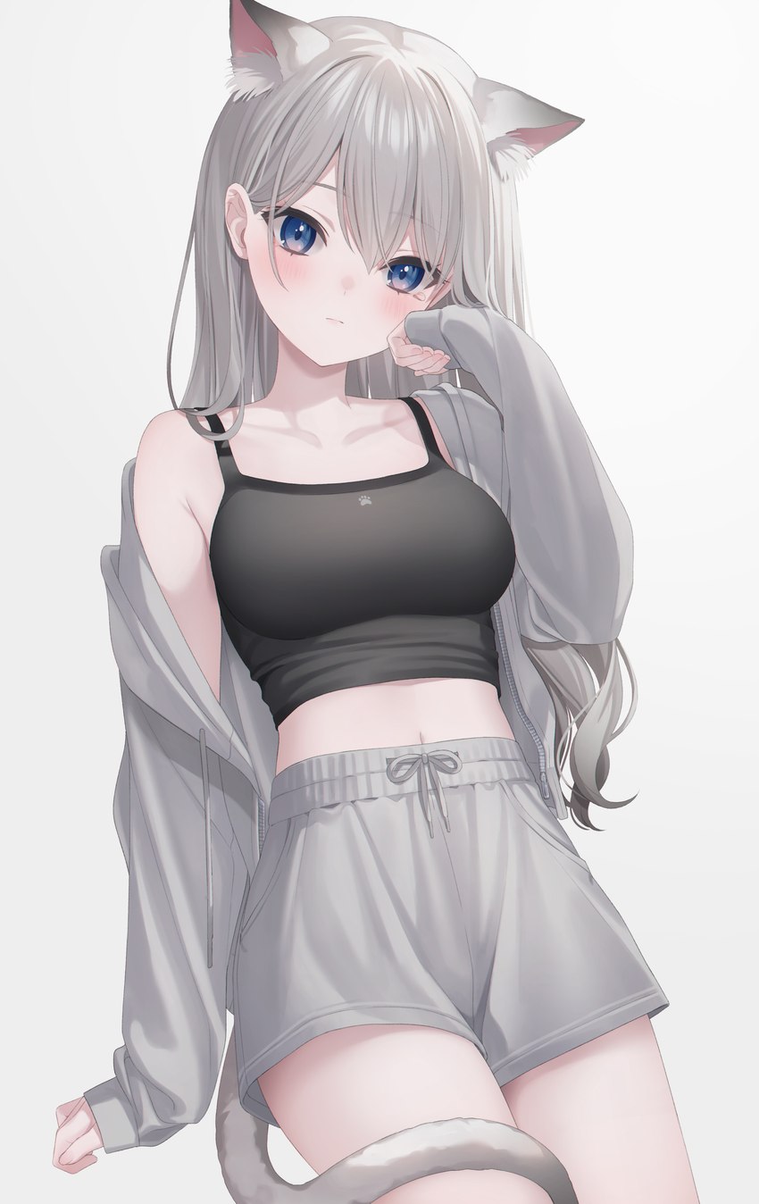 blue_eyes bottomwear breasts clothed clothing drawstring female grey_hair hair jacket looking_at_viewer midriff navel shirt shorts simple_background solo tank_top topwear white_background jimmy_madomagi animal_humanoid cat_humanoid felid felid_humanoid feline feline_humanoid humanoid mammal mammal_humanoid 2023 absurd_res hi_res