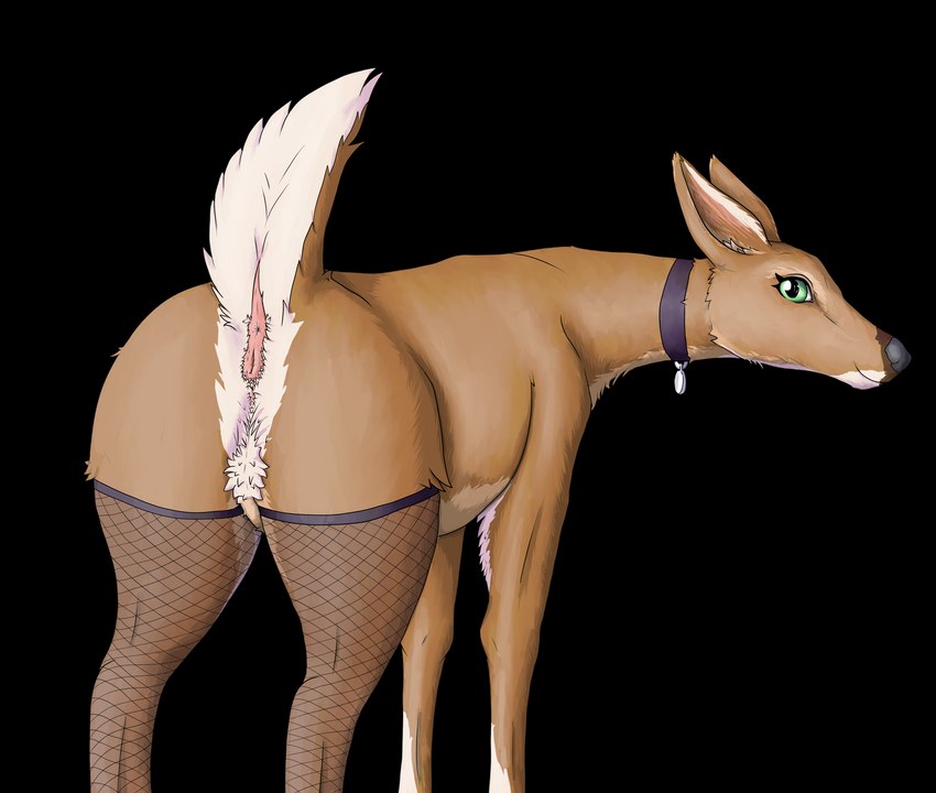 anatomically_correct anatomically_correct_genitalia animal_genitalia animal_pussy anus butt clothed clothed_feral clothing collar female feral fishnet_clothing fishnet_legwear genitals legwear looking_back presenting presenting_hindquarters pussy solo stockings laserkitten juniper_(laserkitten) deer mammal new_world_deer white-tailed_deer absurd_res alpha_channel hi_res