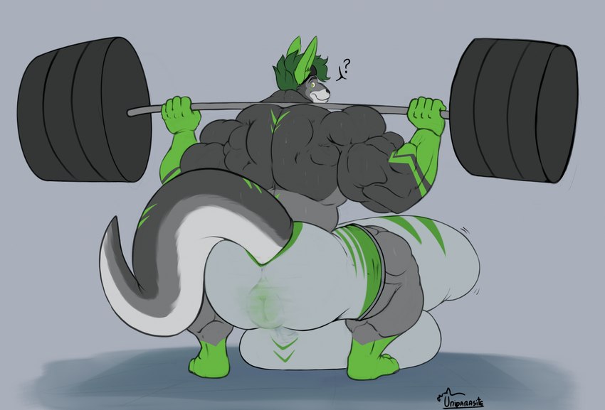 anthro anus back_muscles balls big_balls big_bulge big_butt big_penis bulge butt clothing erection exercise fur genitals green_body grey_body grey_fur huge_balls huge_bulge huge_butt huge_penis hyper hyper_balls hyper_genitalia hyper_penis male muscular muscular_anthro muscular_arms muscular_male oblivious penis puffy_anus solo squatting_position through_shorts translucent translucent_clothing weightlifting workout uniparasite chase_(someroo) kangaroo macropod mammal marsupial hi_res