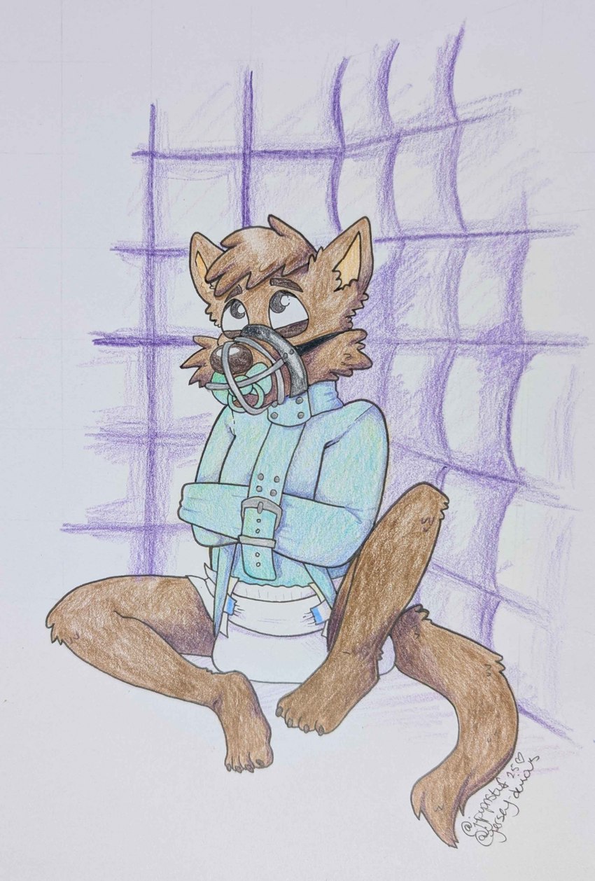 anthro bdsm bondage bound clean_diaper clothed clothing diaper male muzzle_(object) muzzled object_in_mouth pacifier pacifier_in_mouth padded_room restraints solo straitjacket wearing_diaper jjpuppnstuf canid canine canis coyote mammal hi_res