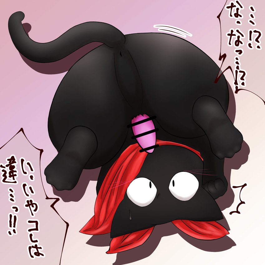 anus black_body black_fur bodily_fluids butt censor_bar erection feral fur genitals kerchief male neckerchief neckwear penis pink_penis red_kerchief red_neckerchief solo sweat sweatdrop tail text yashichi_(pixiv) nichijou sakamoto_(nichijou) domestic_cat felid feline felis mammal 1:1 2022 censored hi_res