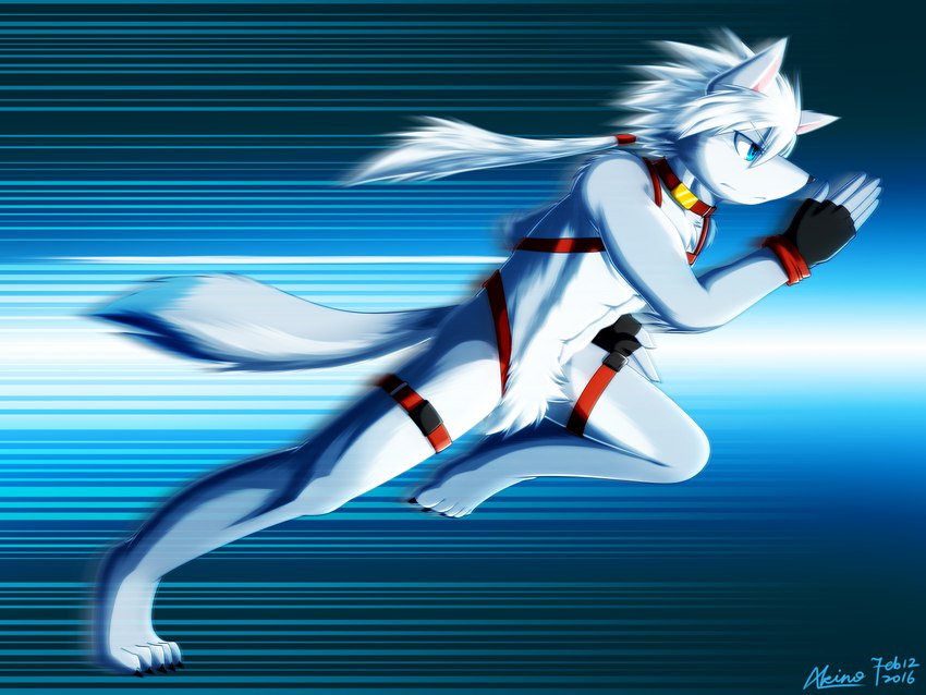 abs accessory adolescent anthro clothing collar crotch_tuft flashing_background gloves hair hair_accessory hair_tie handwear harness male muscular muscular_male nude ponytail running sled_harness solo sprinting tail tuft young akino-kamihara epilepsy_warning dogsled_club akebono_yuminaga_(akino-kamihara) canid canine canis hybrid mammal wolfdog 4:3 hi_res