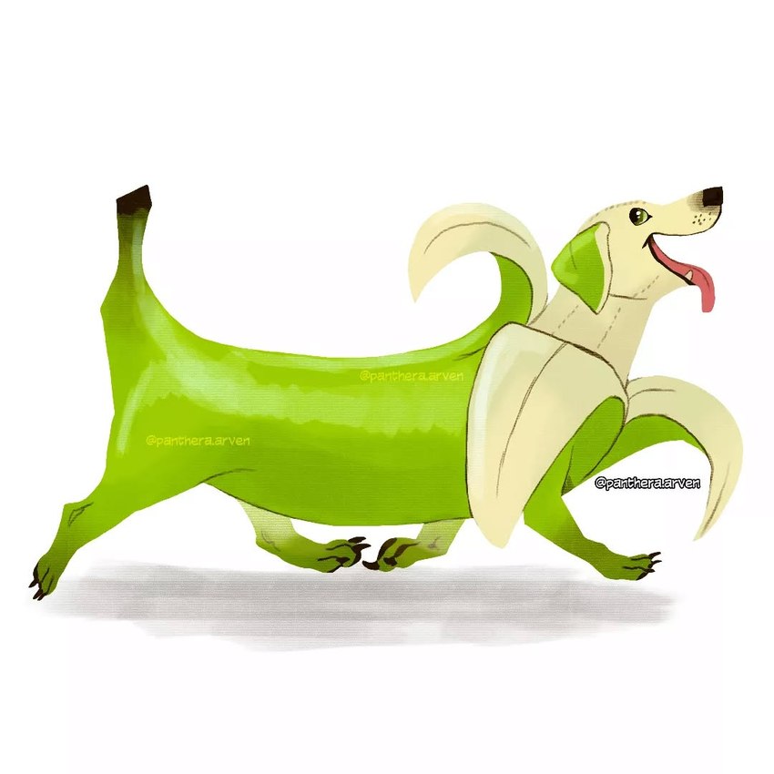 ambiguous_gender banana claws feral floppy_ears food fruit green_body open_mouth open_smile paws plant quadruped simple_background smile solo tongue tongue_out white_background panthera_arven canid canine canis dachshund domestic_dog elemental_creature flora_fauna food_creature hunting_dog living_fruit mammal 1:1