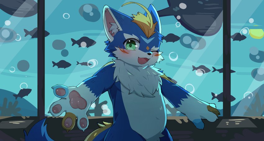 ahoge air_bubble anthro aquarium black_nose blonde_hair blue_body blue_fur blue_markings blue_tail blush blush_lines countershading crotch_tuft fur glistening glistening_eyes glistening_pawpads green_eyes hair kemono looking_at_viewer male markings multicolored_body multicolored_tail one_eye_closed open_mouth orange_body orange_facial_markings orange_fur orange_hair orange_markings orange_tail outstretched_arm pawpads solo tail three-quarter_view tuft vivarium white_body white_countershading white_fur wink young young_anthro young_male tody_0312 production_taiikukan lion_(fw_rion) ambiguous_species fish mammal manta_ray marine ray_(fish) 2024 hi_res portrait shaded three-quarter_portrait