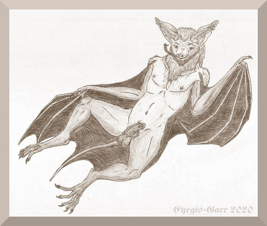 anthro genitals humanoid_genitalia humanoid_penis lounging lying male membrane_(anatomy) membranous_wings navel nipples nude oral pecs penis pose pubes smile smirk solo wings eyegis-garr bat mammal microbat pallid_bat vesper_bat yangochiropteran hi_res pinup