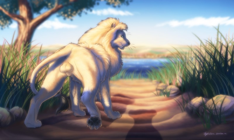 animal_genitalia anus backsack balls cloud detailed_background feral fur genitals leucistic looking_back male nature nude offscreen_character outside quadruped rear_view shadow sheath sky solo tail tail_anus hyhlion rakeesh felid lion mammal pantherine 5:3