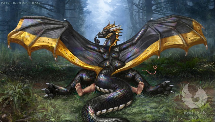 amazing_background ambiguous/ambiguous ambiguous_gender bestiality biped black_body black_scales black_wings claws detailed_background dragon_horn duo ear_frill feral feral_on_top finger_claws forest forest_background frill_(anatomy) gold_wings grey_horn head_crest heart_symbol horn human_on_bottom human_on_feral human_penetrating interspecies iridescent_scales lying male male_on_feral membrane_(anatomy) membranous_wings multicolored_body multicolored_scales nature nature_background on_back on_front on_ground penetration pinned pinned_to_ground plant pose quadruped scales silver_claws silver_horns tail toe_claws tree two_tone_body two_tone_scales white_body white_scales wing_claws wings yellow_body yellow_scales red-izak black_betty_(meme) european_mythology mythology atra_(red-izak) dragon human mammal mythological_creature mythological_scalie scalie western_dragon 2022 detailed digital_media_(artwork) hi_res meme pictographics female_(lore) male_(lore)