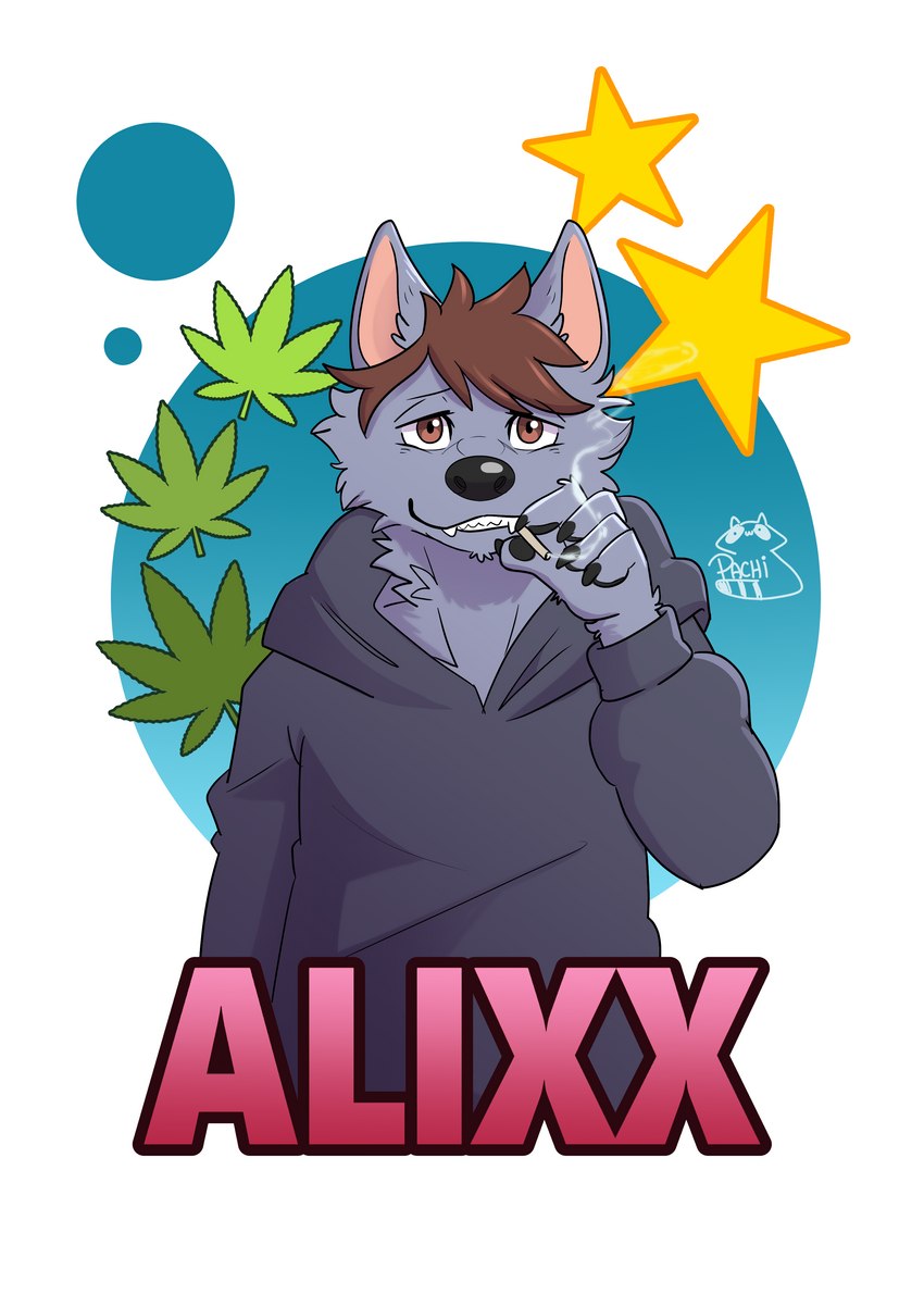 brown_eyes brown_hair clothed clothing drugs fur grey_body grey_fur hair male marijuana smoking solo pachi_mapache weedsmoke alixx_(character) canid canine canis mammal wolf absurd_res hi_res