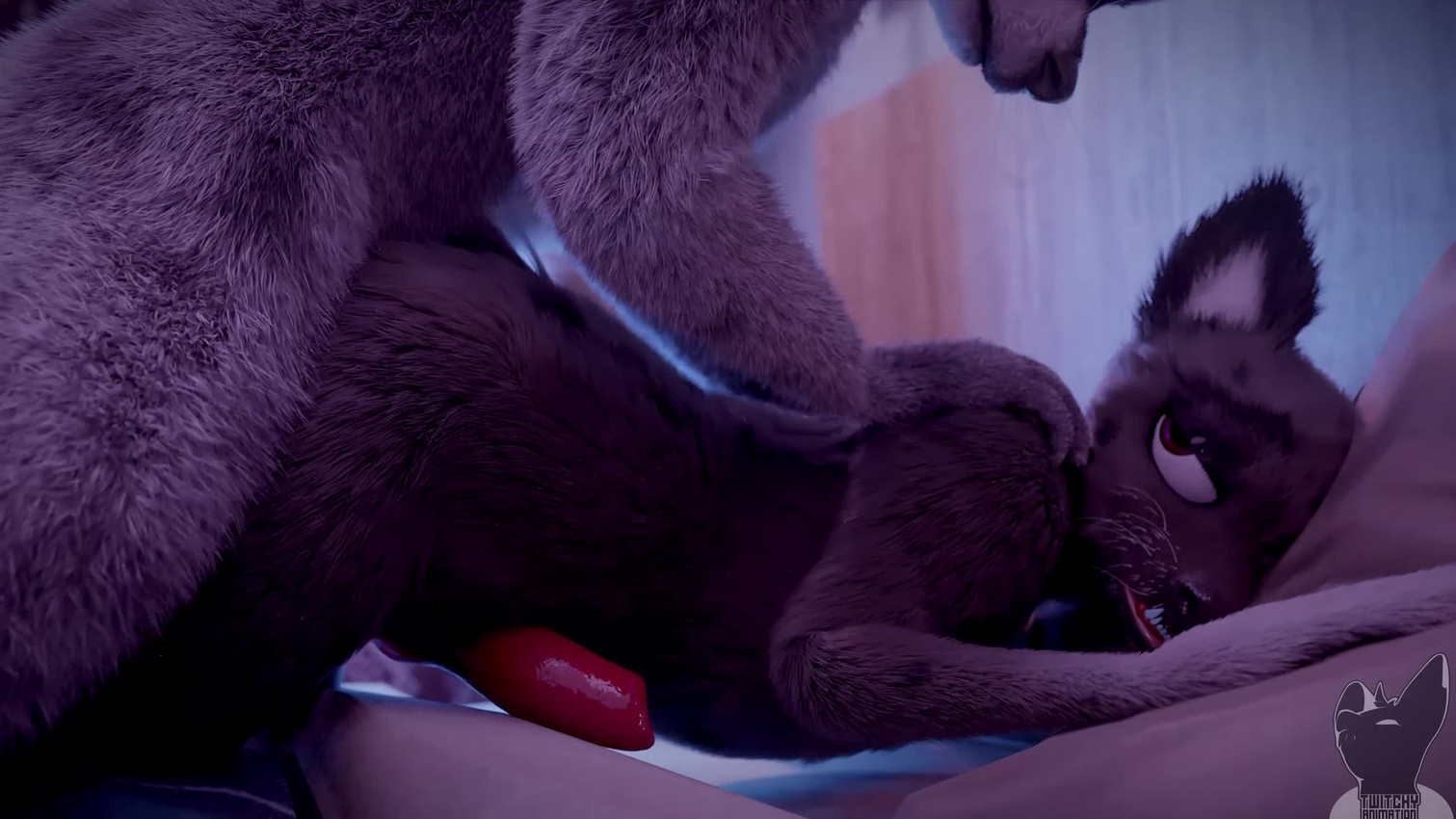 Rule 34 Dev | e621 popular | sam_(hakya11)