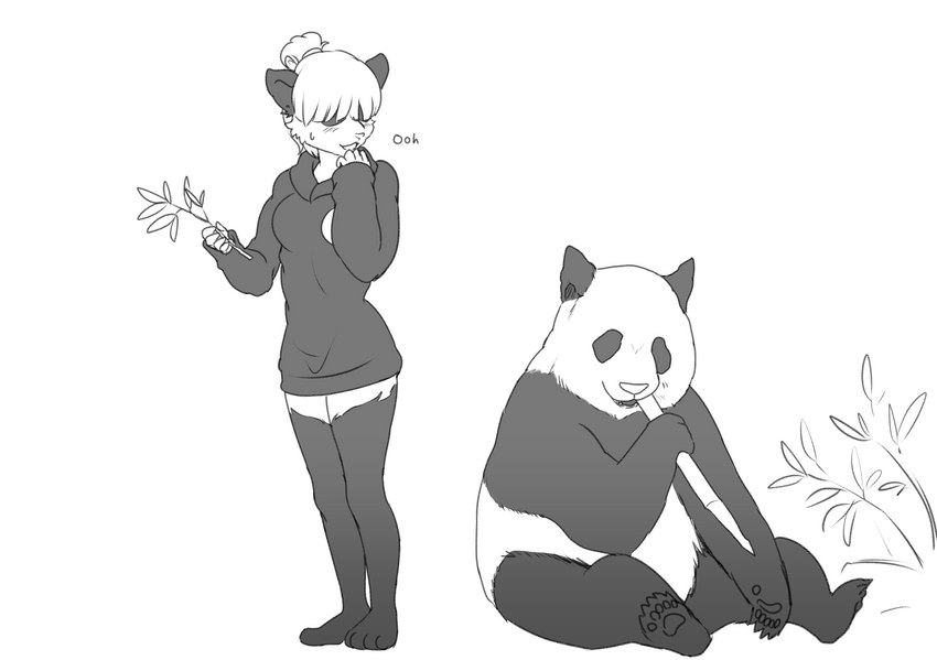 anthro bamboo bamboo_stick blush clothing duo eating eating_food female feral hoodie jealous sitting standing topwear torotale aimi_(sleepysushiroll) bear giant_panda mammal black_and_white hi_res monochrome