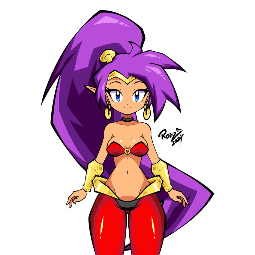 shantae (shantae (series) and etc) created by rotzedust