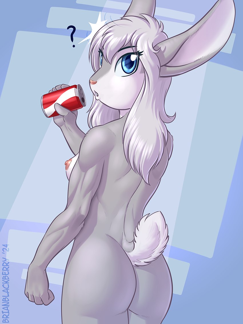 anthro areola beverage_can biceps blue_eyes breasts butt can container female grey_body hair muscular muscular_female nipples nude question_mark solo triceps white_hair brian_mcpherson cynthia_(brian_mcpherson) cottontail_rabbit lagomorph leporid mammal rabbit 3:4