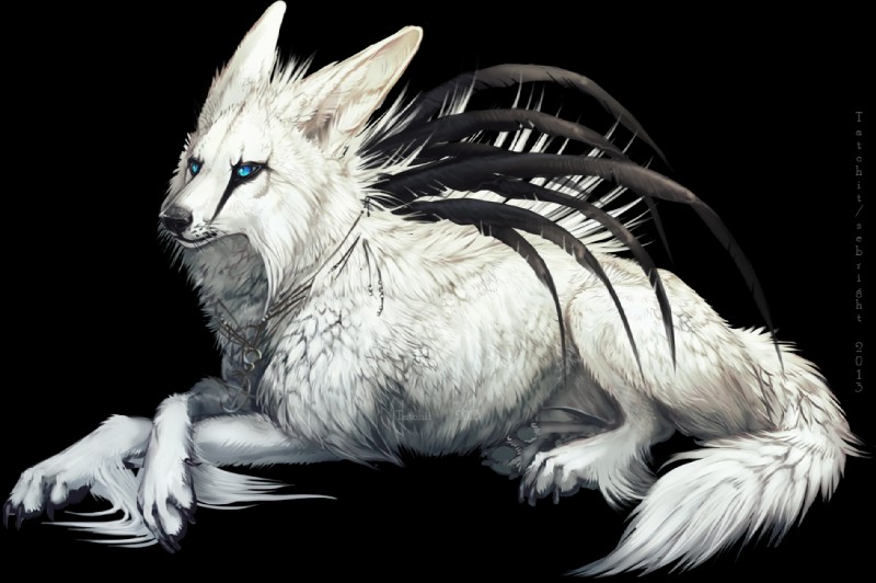 ambiguous_gender black_body black_feathers black_nose blue_eyes chat_pose feathers feral fur jewelry necklace paws simple_background solo transparent_background white_body white_fur nukerooster fallion canid canine canis hybrid mammal wolf alpha_channel male_(lore)