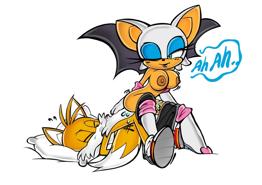 age_difference anthro duo female male male/female older_female on_bottom on_model on_top pillow reverse_cowgirl_position sex younger_male domnirch sega sonic_the_hedgehog_(series) miles_prower rouge_the_bat bat canid canine fox mammal absurd_res hi_res