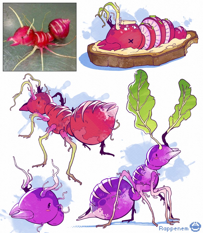 ambiguous_gender antennae_(anatomy) candy_gore corpse feral food fruit fruit_gore gore plant purple_body radish solo vegetable x_eyes rappenem ant arthropod elemental_creature flora_fauna hymenopteran insect absurd_res hi_res reference_image