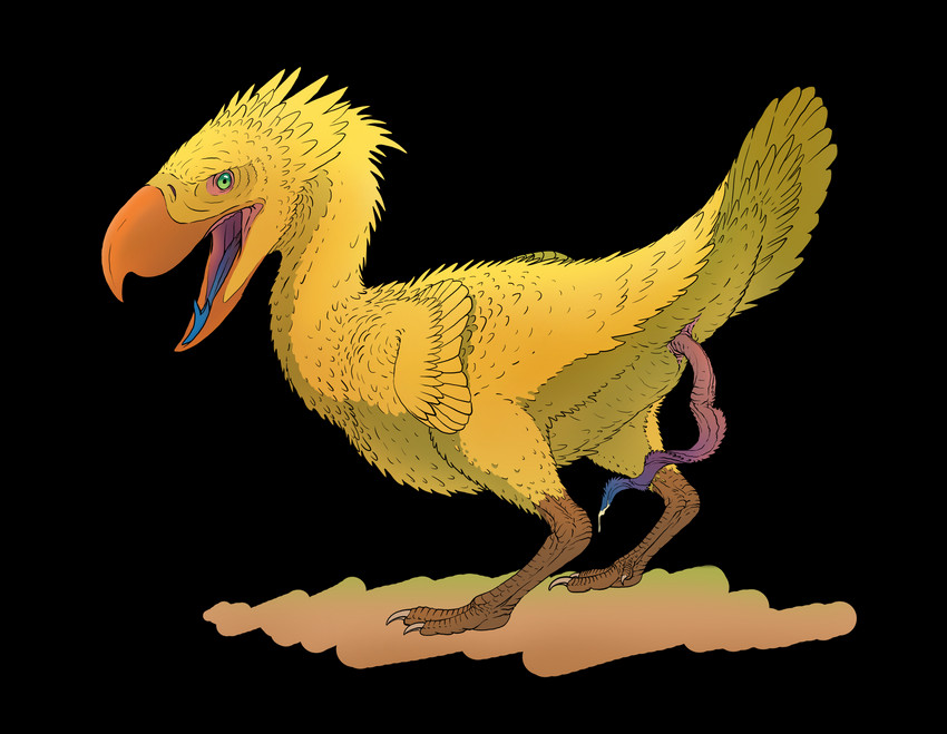 anatomically_correct animal_genitalia animal_penis avian_butt avian_tongue beak bodily_fluids butt claws cloaca cloacal_penis erection feathered_wings feathers feral forked_tongue genital_fluids genitals green_eyes looking_at_viewer male multicolored_penis multicolored_tongue neck_tuft nude open_mouth penis pink_cloaca precum raised_tail scales side_view simple_background solo spiral_penis tail tapering_penis text tongue transparent_background tuft wings yellow_body yellow_feathers zw3 avian bird cariamiform paraphysornis prehistoric_species terror_bird 2020 absurd_res alpha_channel digital_drawing_(artwork) digital_media_(artwork) hi_res