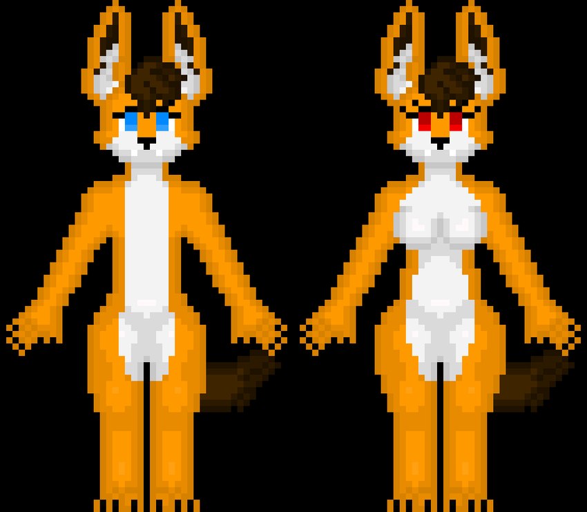 anthro brown_hair claws duo ears_up female fur hair male nude orange_body orange_fur phantoms_curse tail lunalyst canid canine fox mammal alpha_channel