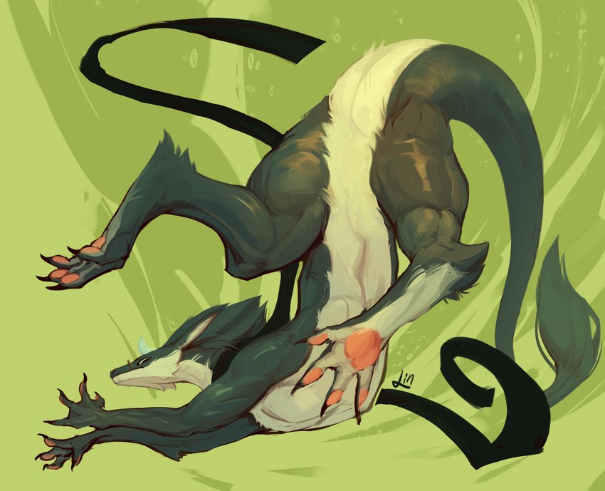 black_body black_claws black_fur claws featureless_crotch feral fur male pawpads pink_pawpads solo white_body white_fur lin_fluffydragon mythology lin_fluffydragon_(character) dragon furred_dragon furred_scalie mythological_creature mythological_scalie scalie hi_res