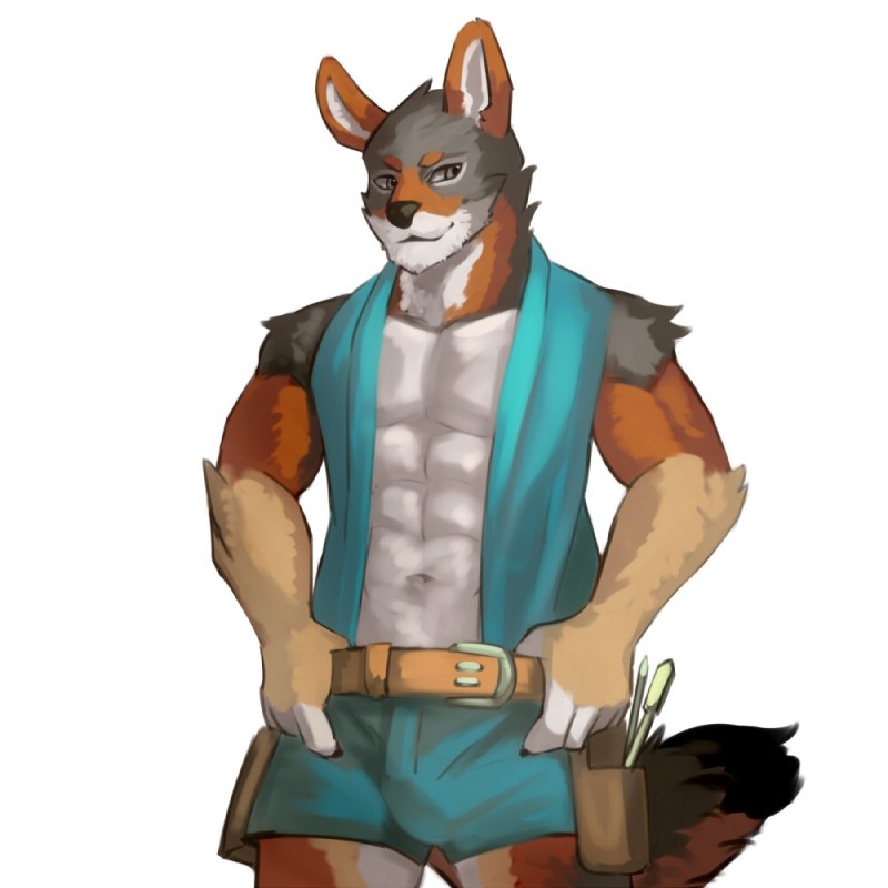 anthro bulge clothing male muscular muscular_anthro muscular_male simple_background solo tool_belt tools white_background ainro ochropus canid canine canis coyote mammal 1:1