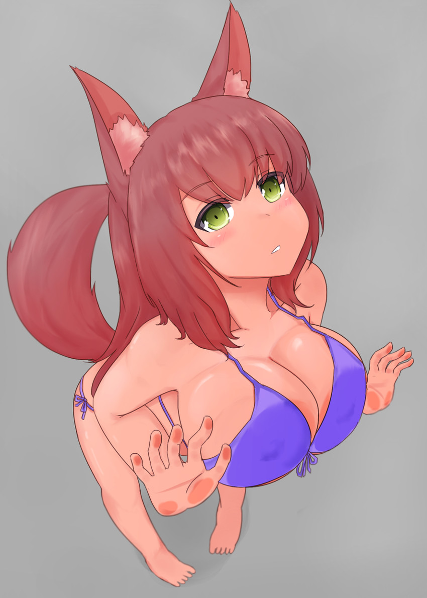 against_surface big_breasts bikini blush breast_squish breasts breasts_on_glass brown_hair cleavage clothed clothing female hair on_glass simple_background solo squish swimwear two-piece_swimsuit nao_(artist) animal_humanoid humanoid digital_media_(artwork) hi_res shaded