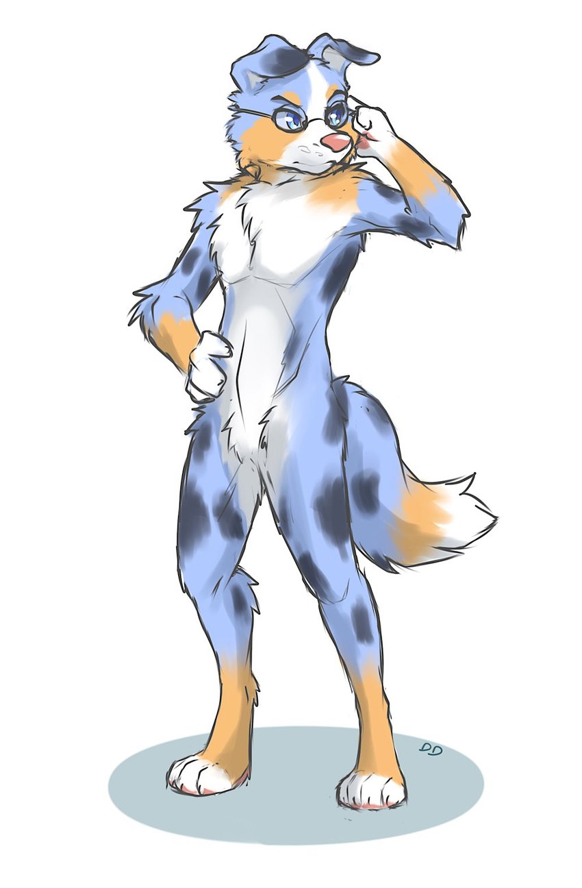 anthro black_body black_fur blue_body blue_eyes blue_fur eyewear featureless_crotch feet fur glasses male nude orange_body orange_fur simple_background solo standing toeless_(marking) white_background white_body white_fur ddgio canid canine canis domestic_dog mammal 2021 hi_res signature