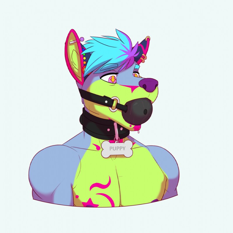 anthro ball_gag black_collar bodily_fluids collar collar_tag drooling ear_piercing ear_ring gag gagged industrial_piercing large_gag male multiple_piercings piercing ring_piercing saliva simple_background solo super_gay white_background creaturecorp yazoo canid canine fox mammal 1:1