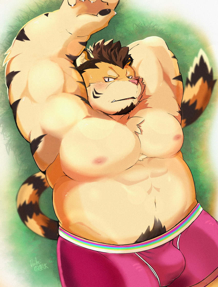 anthro blush bulge clothing kemono lying male moobs musclegut muscular nipples overweight overweight_anthro overweight_male pubes solo underwear 11768hoshi shiro_to_kuro felid mammal pantherine tiger 2020 absurd_res hi_res