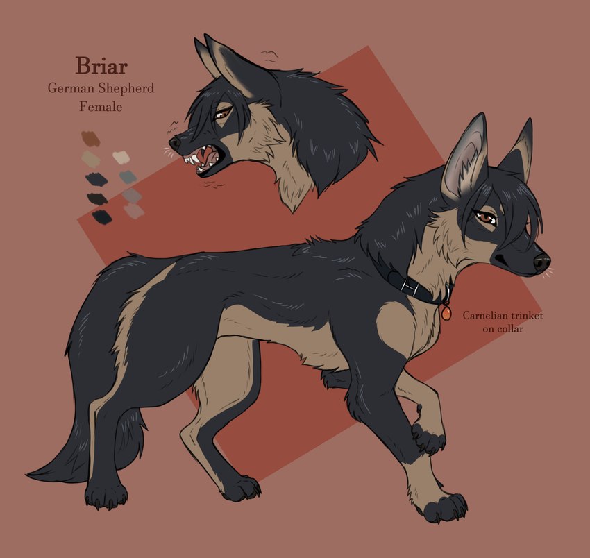 briar created by puddingpaw