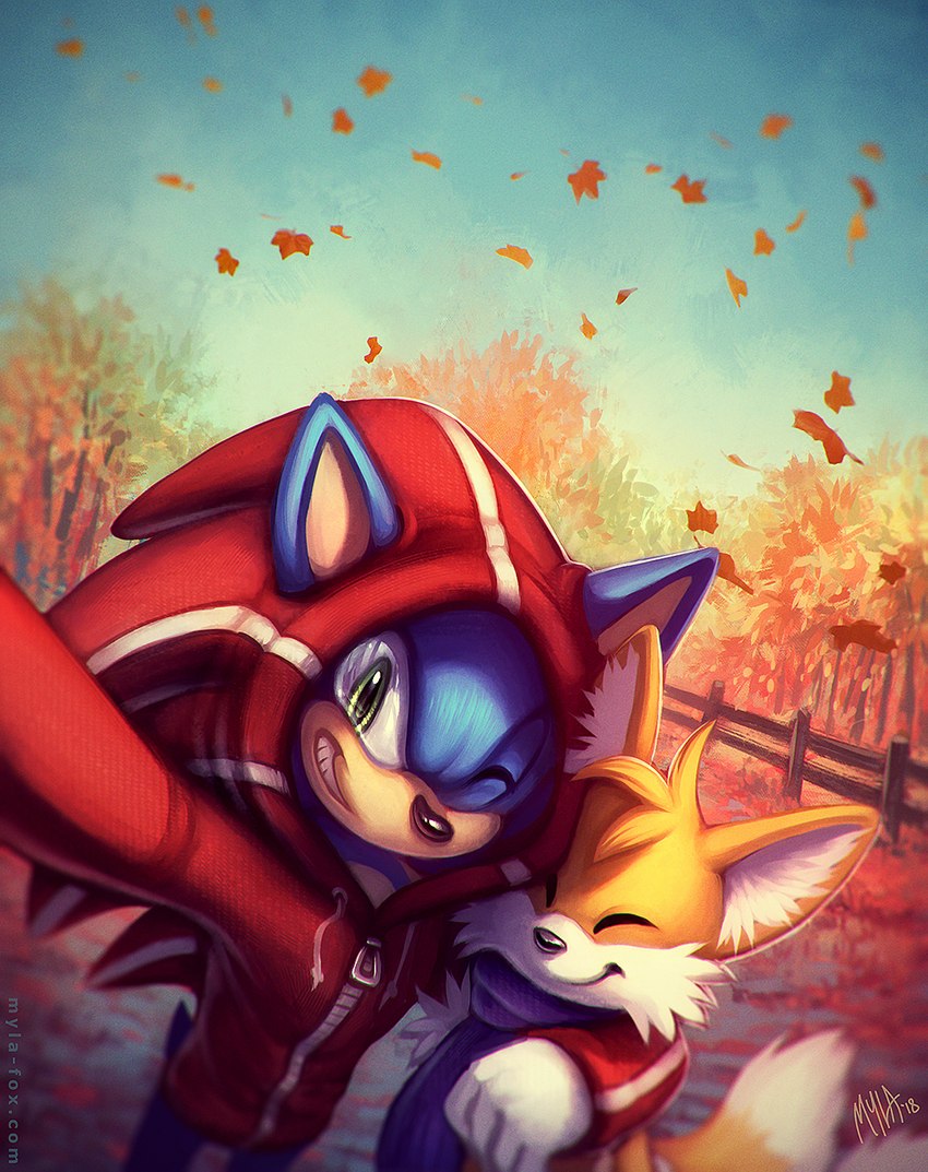 anthro autumn black_nose blue_body closed_smile clothed clothing duo fur glistening glistening_eyes green_eyes leaf looking_at_viewer male mouth_closed one_eye_closed outside plant red_clothing red_topwear smile standing tan_body topwear tree white_body white_fur yellow_body yellow_fur mylafox sega sonic_the_hedgehog_(series) miles_prower sonic_the_hedgehog canid canine eulipotyphlan fox hedgehog mammal 2018 dated hi_res signature