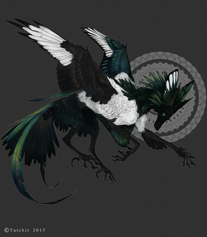 black_body black_feathers claws feathers feral green_body green_eyes green_feathers grey_background simple_background solo white_body white_feathers nukerooster feonix 2015