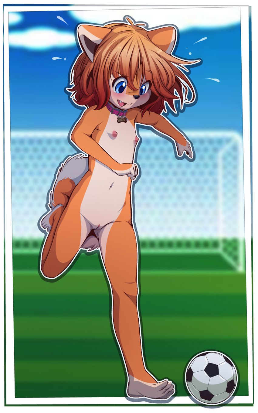 4_toes action_pose anthro ball barefoot blue_eyes blush border brown_hair butt butt_from_the_front casual_nudity clitoris collar collar_only countershading detailed_background feet female flat_chested genitals grass hair loli looking_at_object looking_down navel nipples nude one_leg_up open_mouth pink_collar plant pose pussy raised_leg running short_hair soccer soccer_ball soccer_field soles solo sport toes white_border young young_anthro young_female sicmop aniko_rose canid canine canis domestic_dog mammal shiba_inu spitz 5:8 hi_res