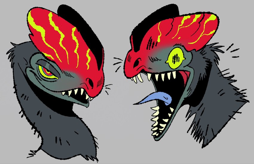 blue_tongue feathers feral glistening_eyelids green_eyes head_crest multiple_poses narrowed_eyes open_mouth pose ringed_eyes sharp_teeth simple_background solo teeth tongue wide_eyed jeannette_arroyo dilophosaurid dilophosaurus dinosaur prehistoric_species reptile scalie theropod 2024 digital_drawing_(artwork) digital_media_(artwork) hi_res