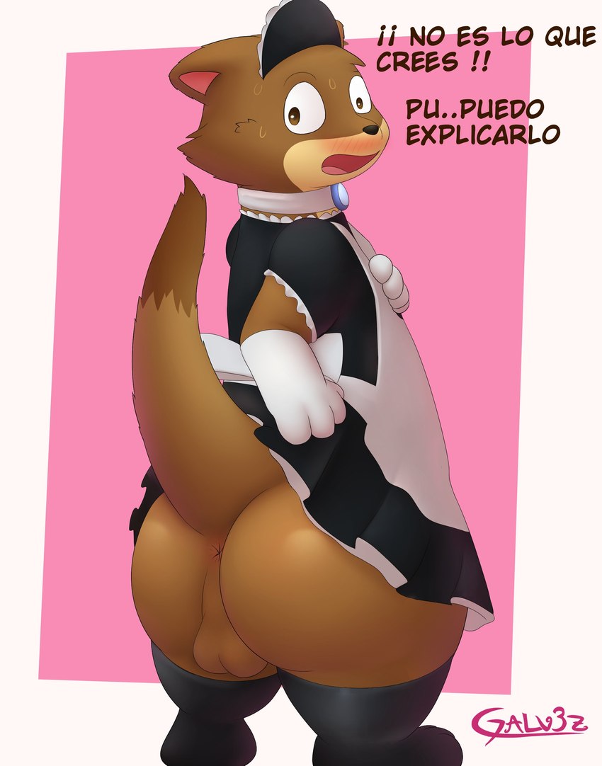 anthro anus backsack balls blush border brown_body brown_fur butt clothed clothing crossdressing embarrassed fur genitals gloves handwear legwear maid_headdress maid_uniform male male_anthro outside_border raised_tail tail tail_anus text thick_tail thigh_highs uniform galv3z_(artist) joules_(galv3z) mammal mustelid musteline stoat true_musteline weasel 2022 absurd_res hi_res signature spanish_text translated