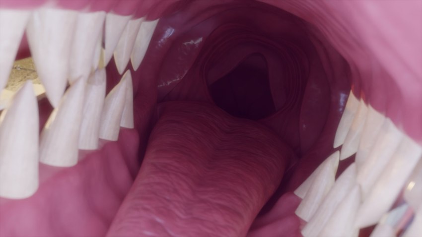 ambiguous_form ambiguous_gender internal internal_oral mouth_shot open_mouth sharp_teeth teeth throat tongue azerta56 ambiguous_species 16:9 3d_(artwork) digital_media_(artwork) hi_res widescreen