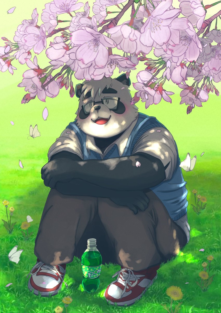 anthro black_nose blush clothing eyewear flower glasses humanoid_hands kemono male plant shirt sitting slightly_chubby solo topwear tree pinoren vtuber sasayama_akira bear giant_panda mammal 2022 hi_res