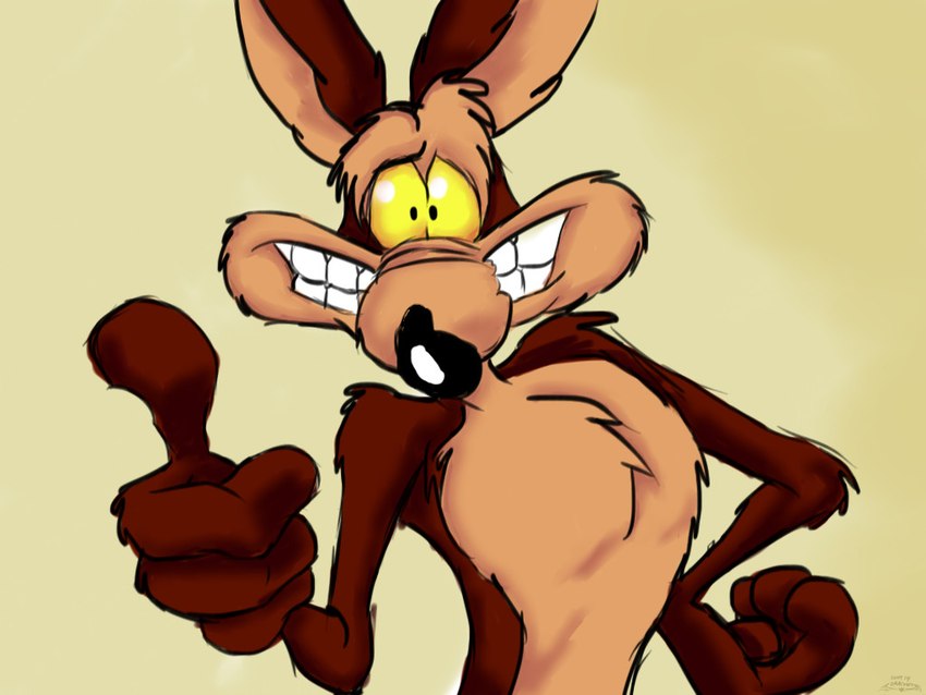 wile e. coyote (warner brothers and etc) created by stevethedragon