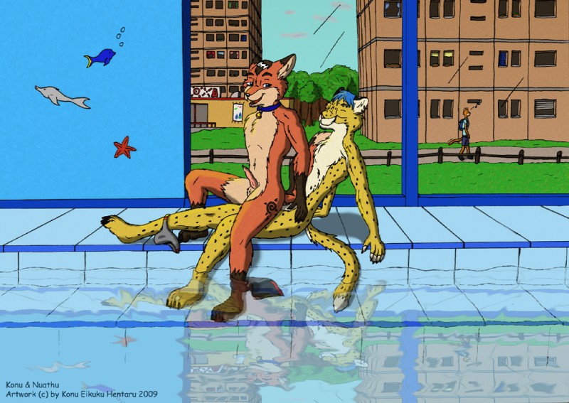 anal anthro blue_eyes blue_hair brown_eyes collar duo erection genitals hair knot male male/male male_penetrated male_penetrating male_penetrating_male natatorium nuathu penetration penis poolside sex swimming_pool tail water konu_eikuku_hentaru canid canine cheetah felid feline fish fox mammal marine