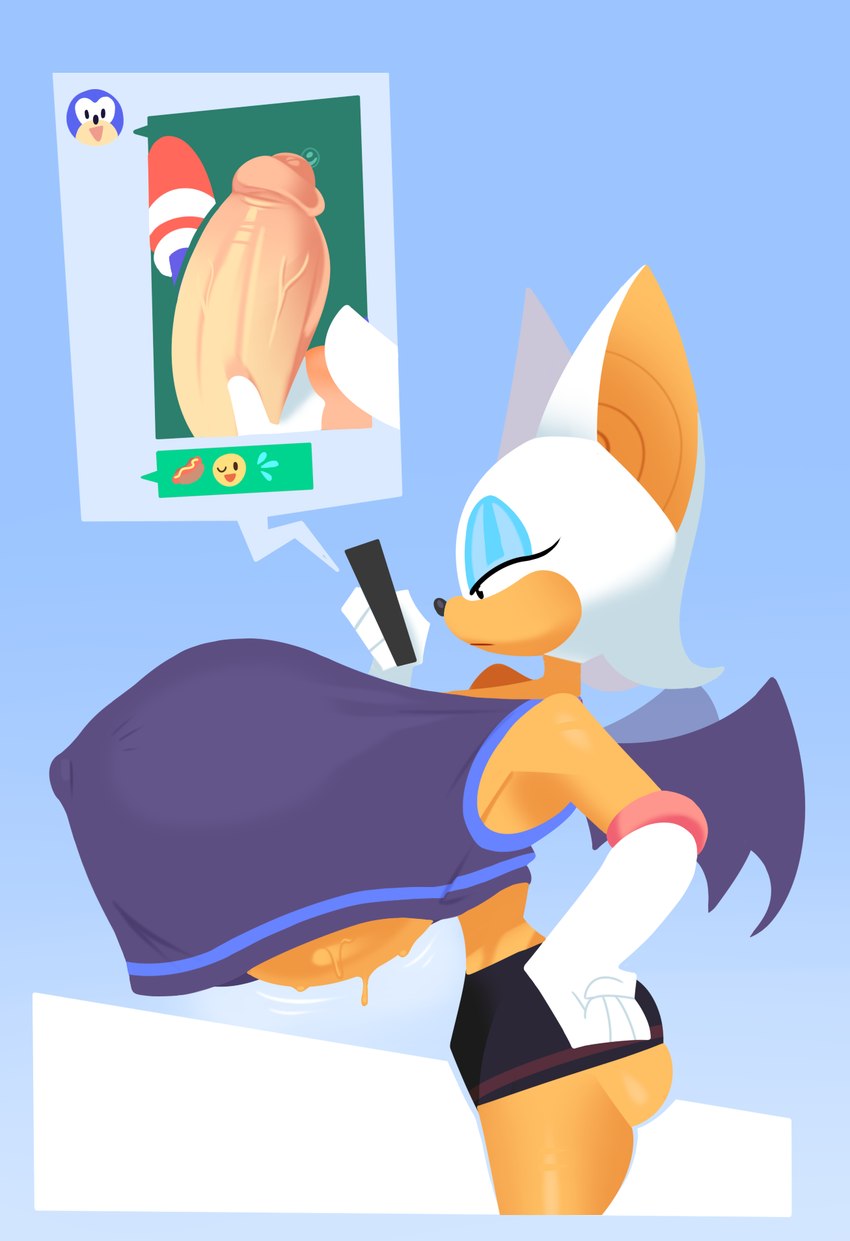 rouge the bat and sonic the hedgehog (sonic the hedgehog (series) and etc) created by freshlysqueezed