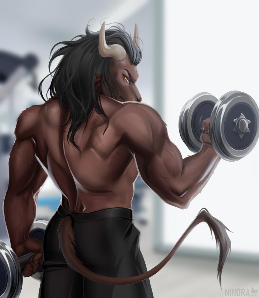 anthro back_muscles barbell biceps black_hair bottomwear brown_body brown_fur clothed clothing exercise fur gym hair horn male muscular muscular_anthro muscular_male serious serious_face shirtless shirtless_anthro shirtless_male solo tail tail_tuft topless topless_anthro topless_male tuft workout yellow_eyes ninora-art european_mythology greek_mythology mythology bovid bovine mammal minotaur hi_res