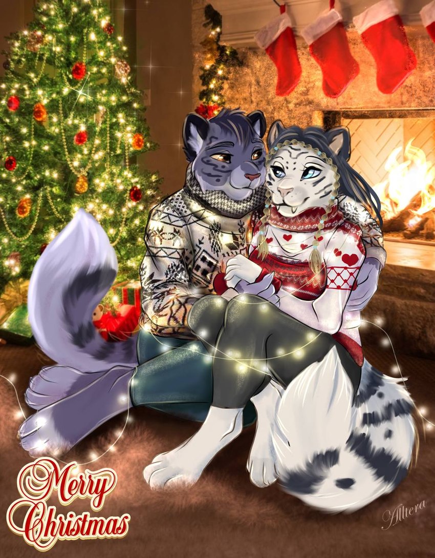 duo female male male/female merry_christmas postcard alltera darky_(bottlenose) yenene domestic_cat felid feline felis mammal hi_res