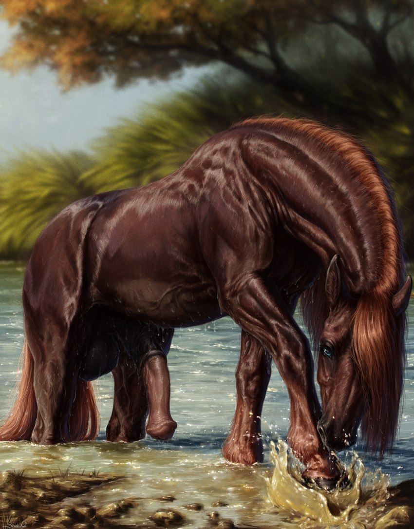 anatomically_correct_feral animal_genitalia animal_penis balls big_balls big_penis black_balls blue_eyes blurred_background brown_body brown_fur day detailed_background detailed_fur dripping equine_balls equine_genitalia equine_penis erection feral flared_penis fur genitals grass half-erect hooves looking_at_viewer male male_feral medial_ring mud outside partially_submerged penis plant quadruped realistic_feral sky solo splash tree urethra urethral_fossa vein veiny_muscles water wet wet_body wet_fur scarlanya tahoe_(stormwx_wolf) draft_horse equid equine horse mammal absurd_res detailed digital_media_(artwork) hi_res shaded