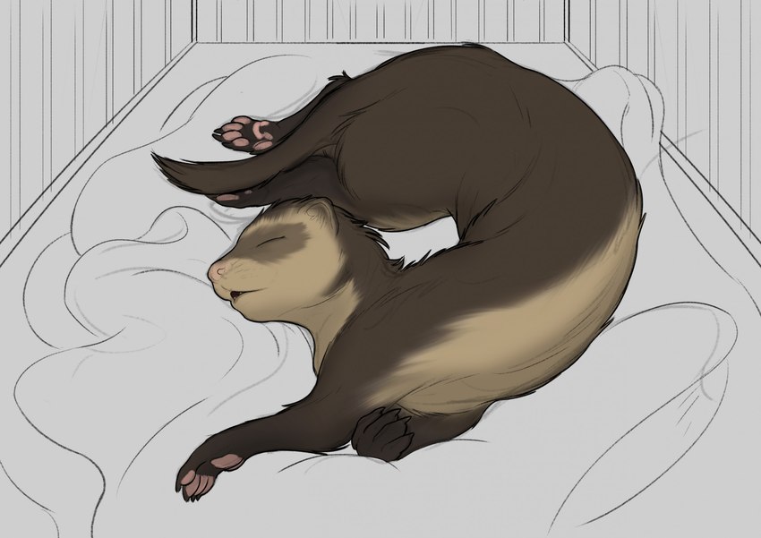 after_transformation ambiguous_gender brown_body brown_fur cute_pose eyes_closed feral flexible fur hormone_replacement_therapy light_belly pawpads paws sleeping solo krazyivan domestic_ferret mammal mustelid musteline true_musteline weasel hi_res male_(lore)