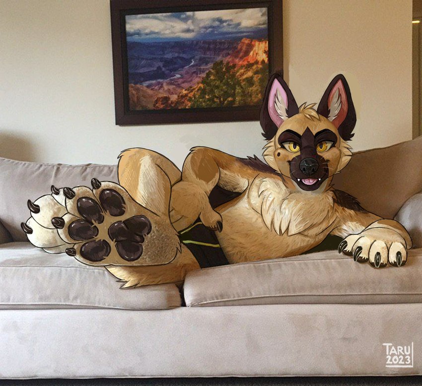 anthro chest_tuft clothed clothing feet foot_focus furniture looking_at_viewer lying male on_side on_sofa partially_clothed pawpads sofa solo tongue tongue_out tuft underwear tarumeow canid canine mammal draw_over