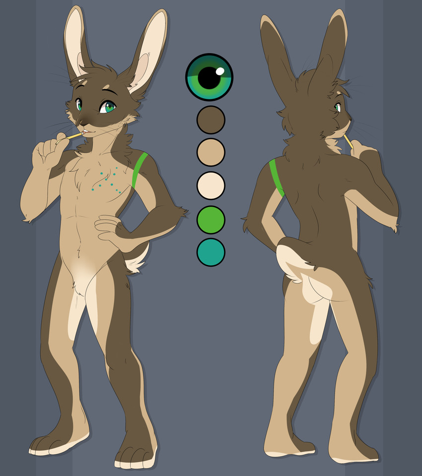 anthro big_ears brown_body brown_fur featureless_crotch front_view fur holding_object holding_pencil holding_writing_utensil male multicolored_body multicolored_ears multicolored_fur natural_colors neck_tuft pencil_(object) rear_view solo standing tan_body tan_fur tuft writing_utensil feve russec_(character) lagomorph leporid mammal rabbit absurd_res hi_res model_sheet