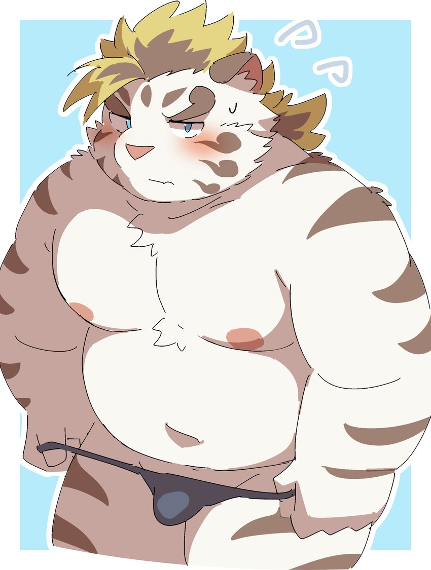 anthro belly big_belly blue_eyes blush bodily_fluids bulge clothing kemono male moobs navel nipples overweight overweight_male solo sweat underwear undressing white_body ptcmtr lifewonders tokyo_afterschool_summoners licho_(tas) felid mammal pantherine tiger 2022 hi_res