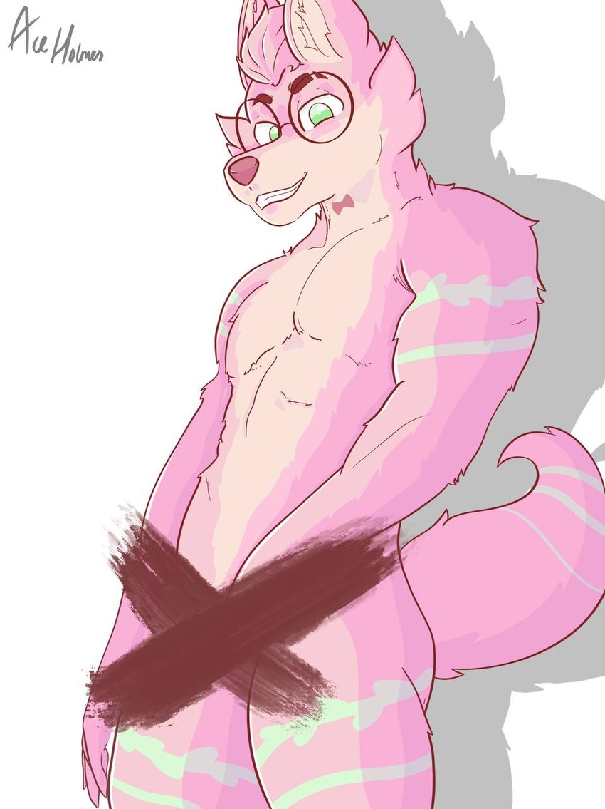 abs anthro arms eyewear flexing genitals glasses male male/male masturbation pecs penis smile smirk solo sparklefur teasing ace_holmes ace_holmes_(character) canid canine canis domestic_dog mammal censored hi_res